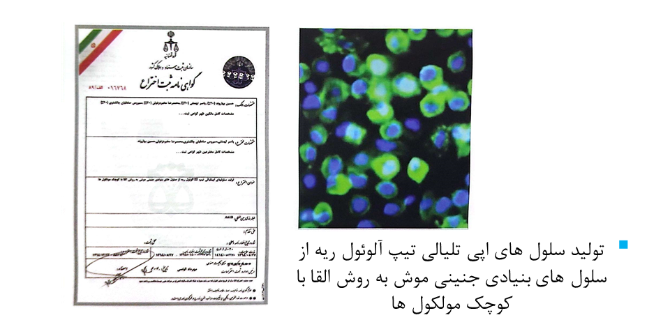 Responsive Image