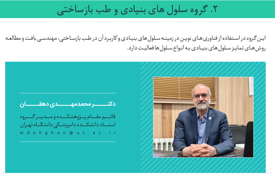 Responsive Image