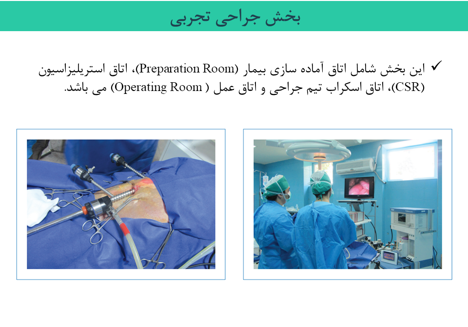 Responsive Image