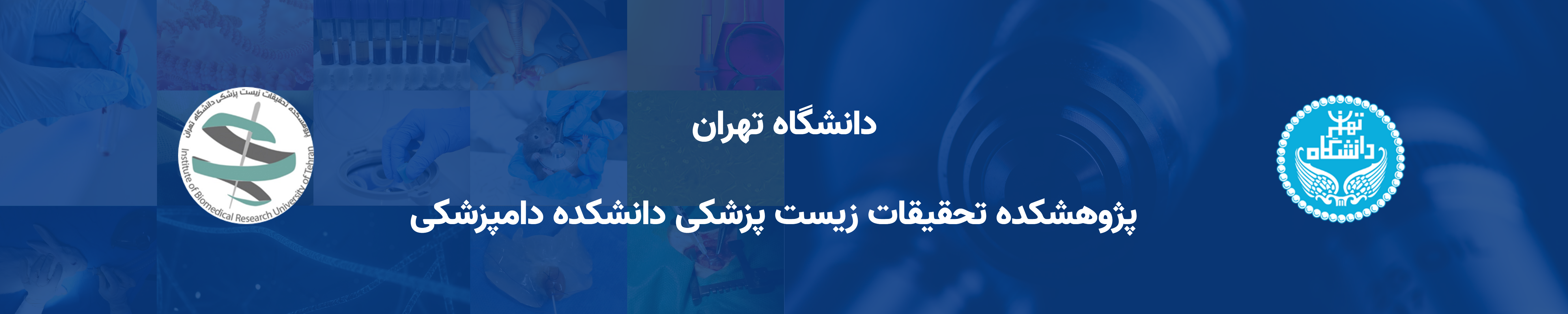 Responsive Image