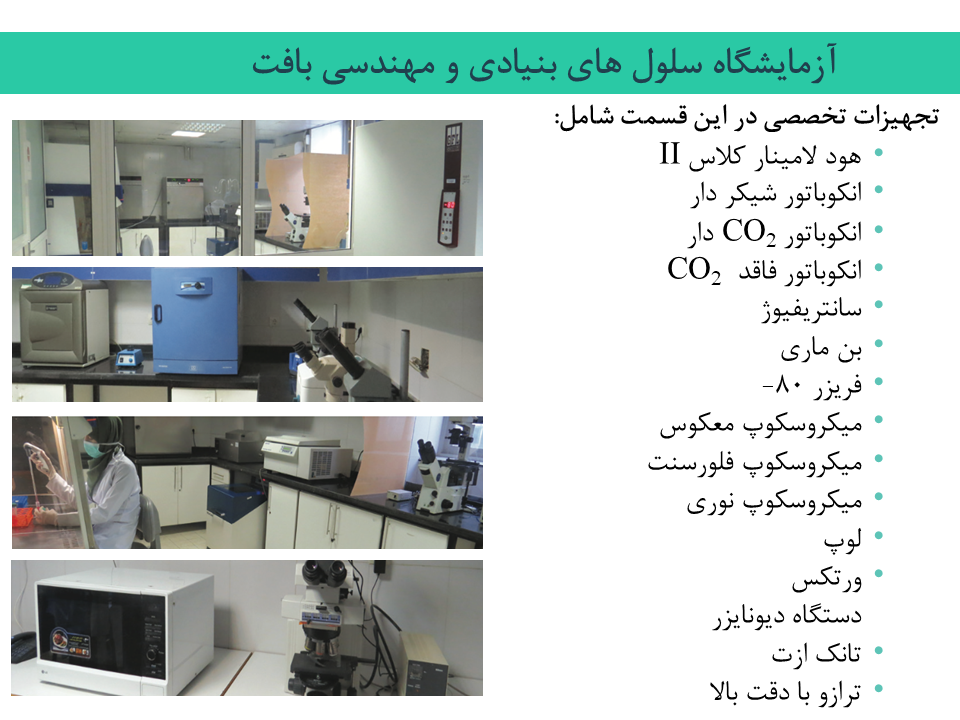Responsive Image